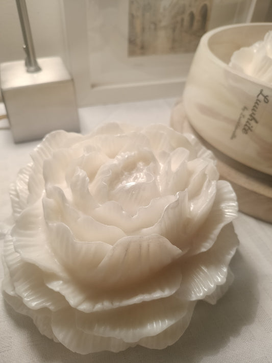 Luwhite – Escultura Botânica & Aroma (500g)