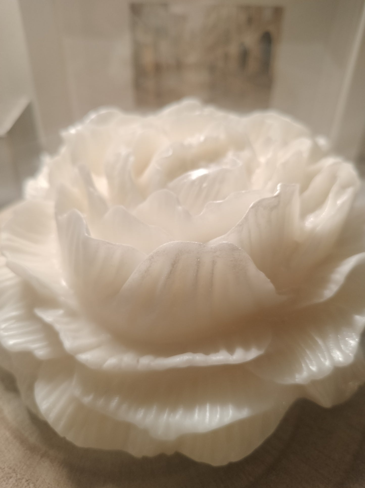 Luwhite – Escultura Botânica & Aroma (500g)